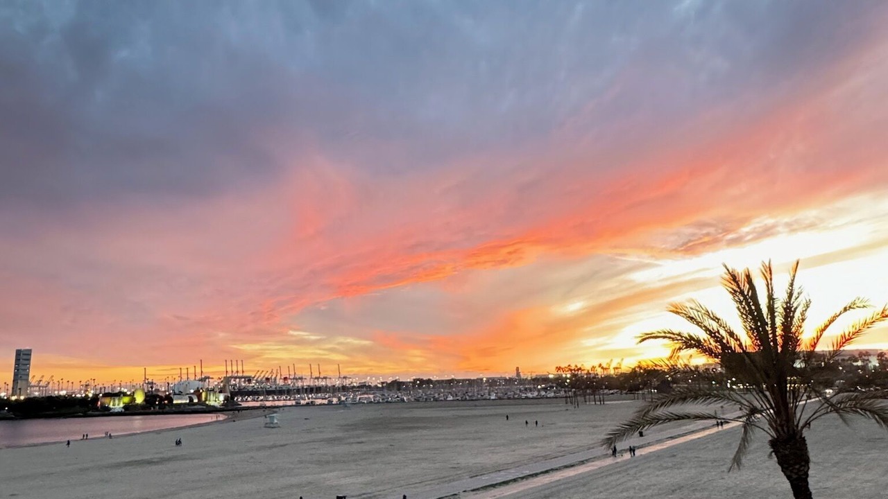 Photo of Others in Alamitos Beach