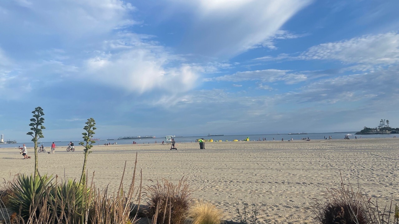 Photo of Others in Alamitos Beach