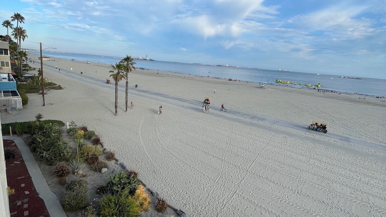 Photo of Others in Alamitos Beach
