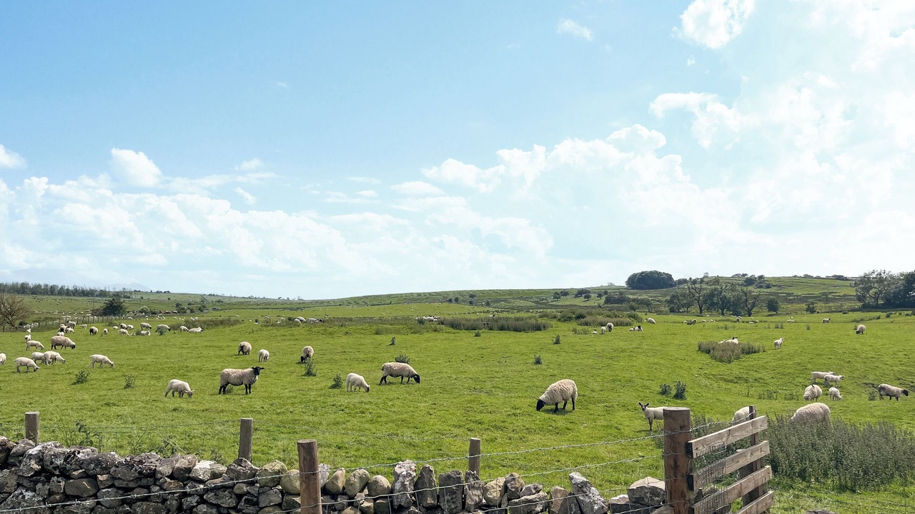 Photo of Others in Cockermouth