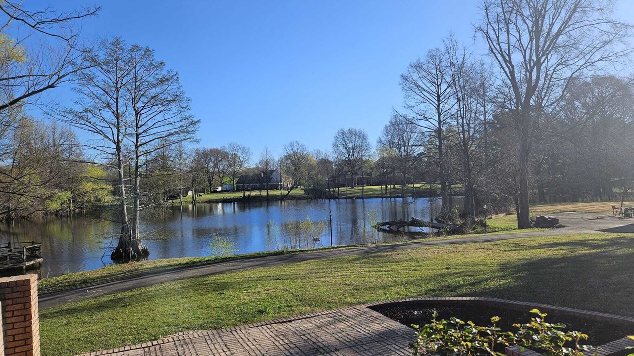 Photo of Outdoor in Olive Branch