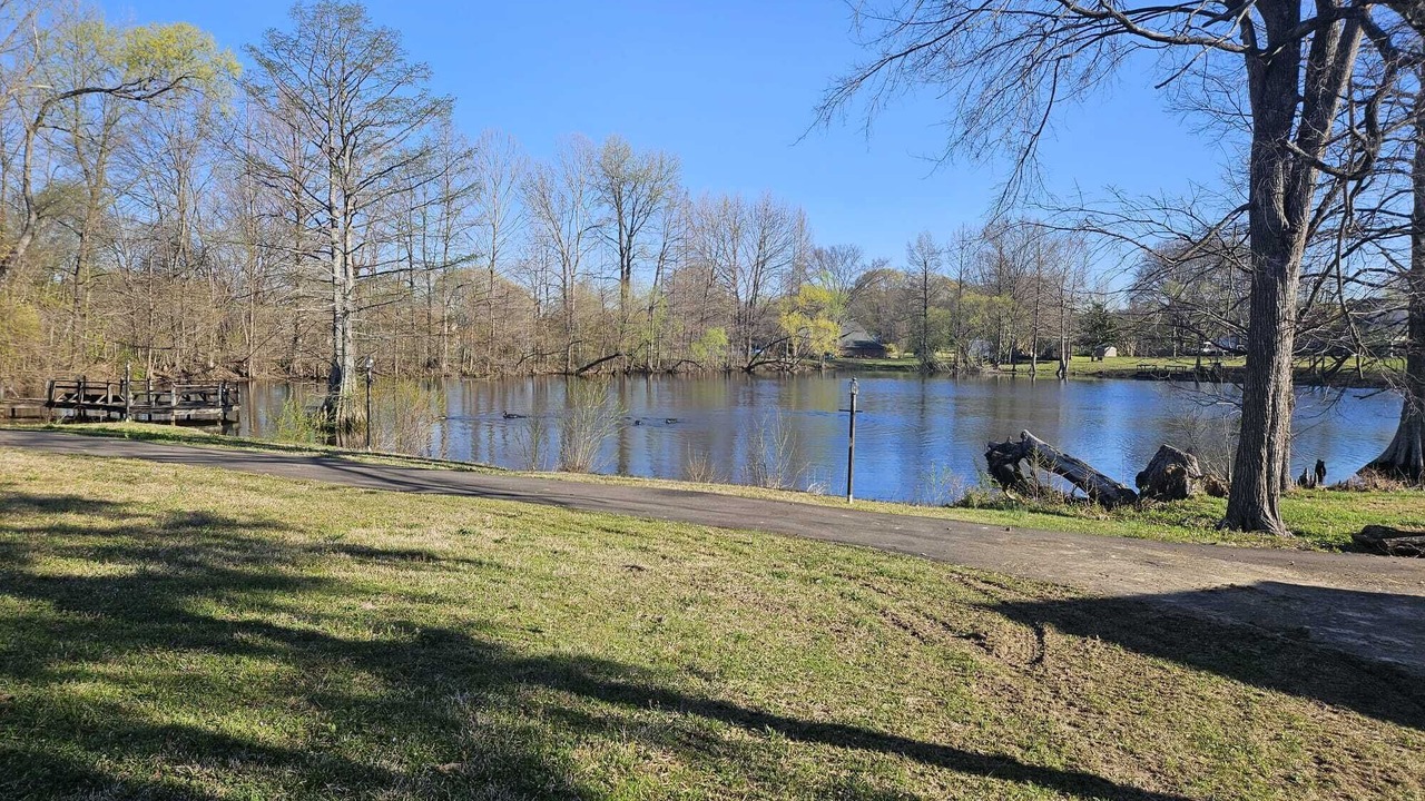 Photo of Others in Olive Branch