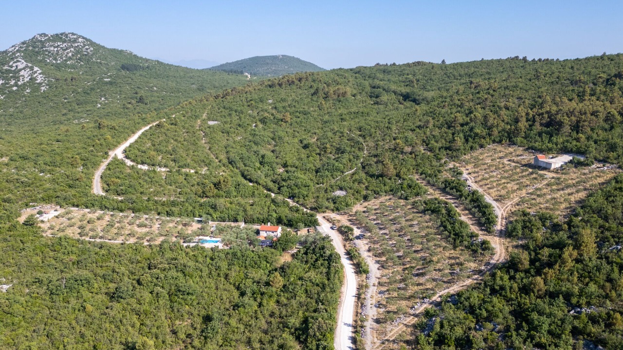 Photo of Outdoor in Vid