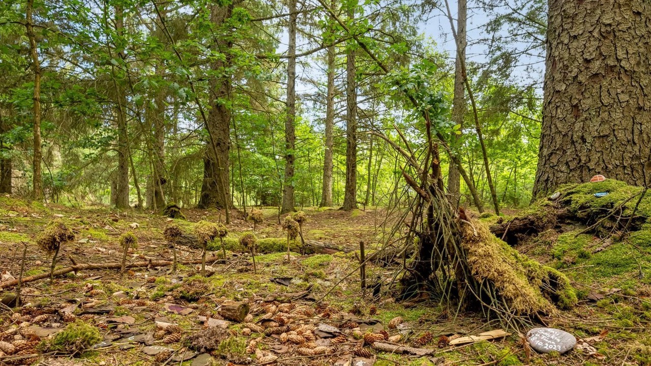Photo of Outdoor in Nørre Fjand