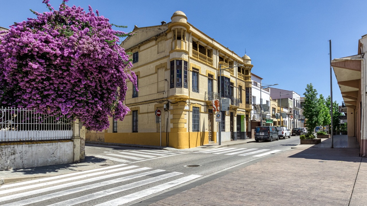 Photo of Others in Palafrugell