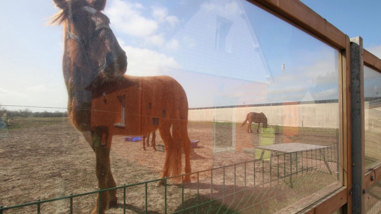 Photo of Others in Ravenoville