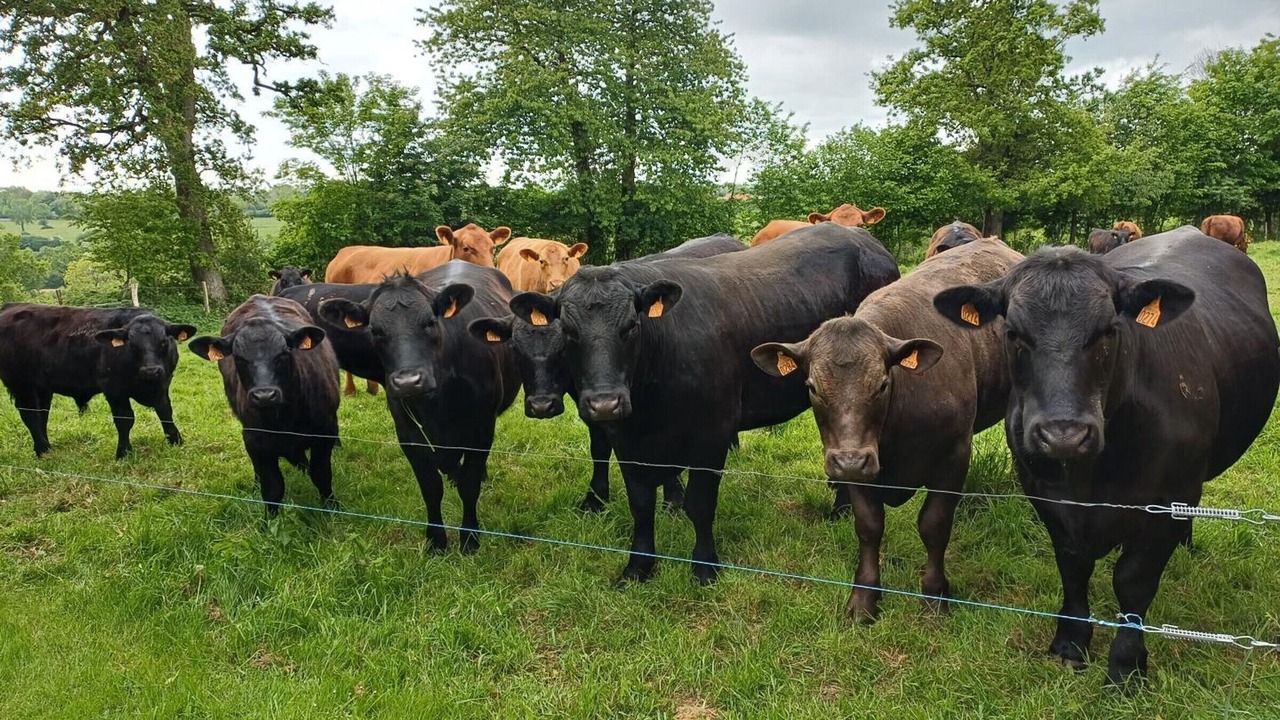 Photo of Others in Hauteville-la-Guichard