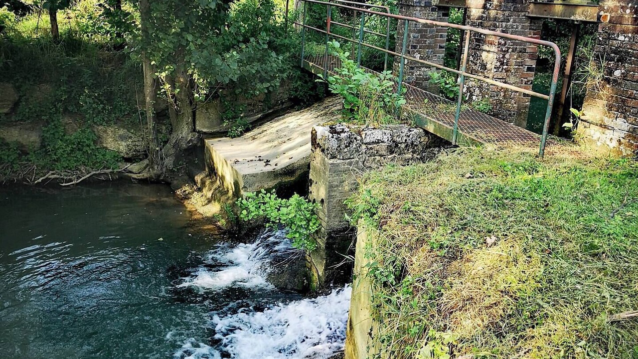 Photo of Others in Chessy-les-Pres