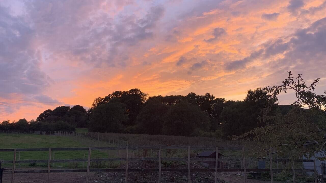 Photo of Others in Shepshed