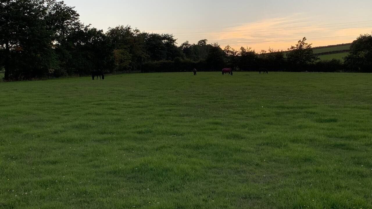 Photo of Others in Shepshed