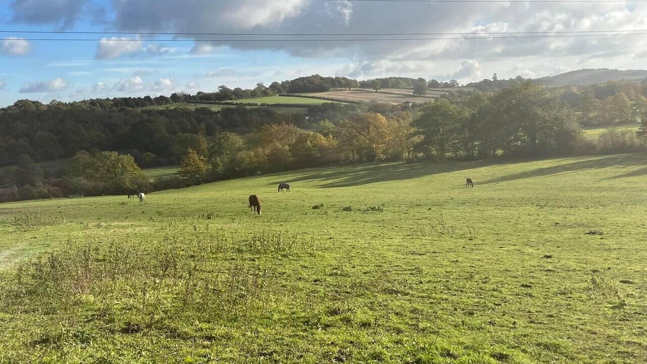 Photo of Others in Shepshed