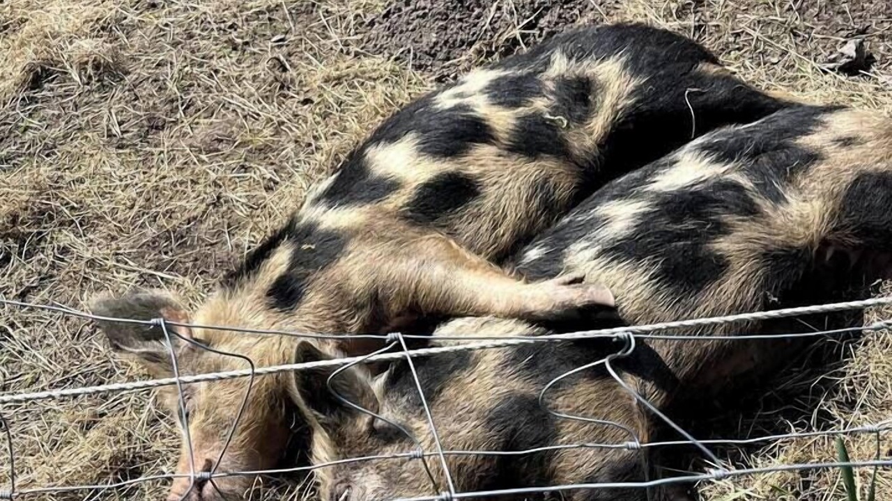 Photo of Others in Loughborough