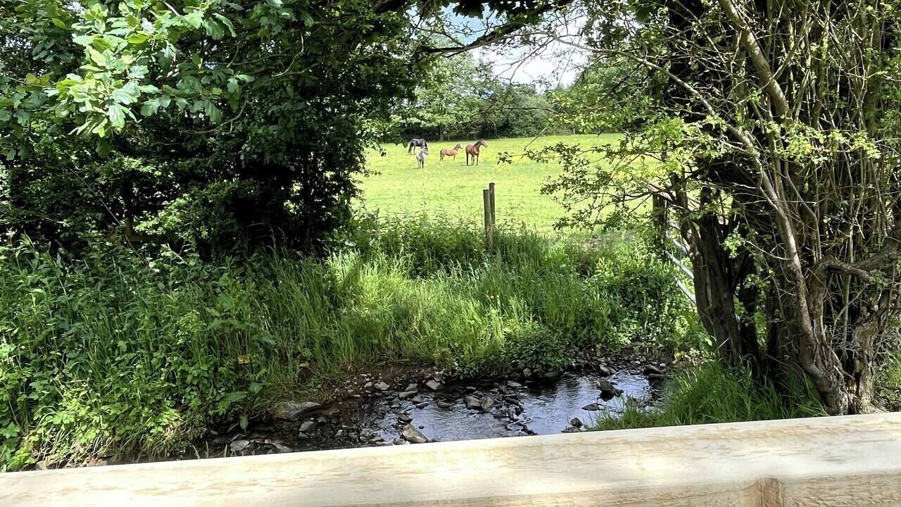 Photo of Others in Loughborough