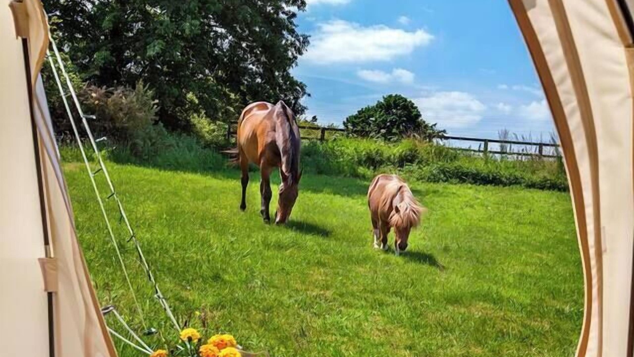 Photo of Others in Loughborough