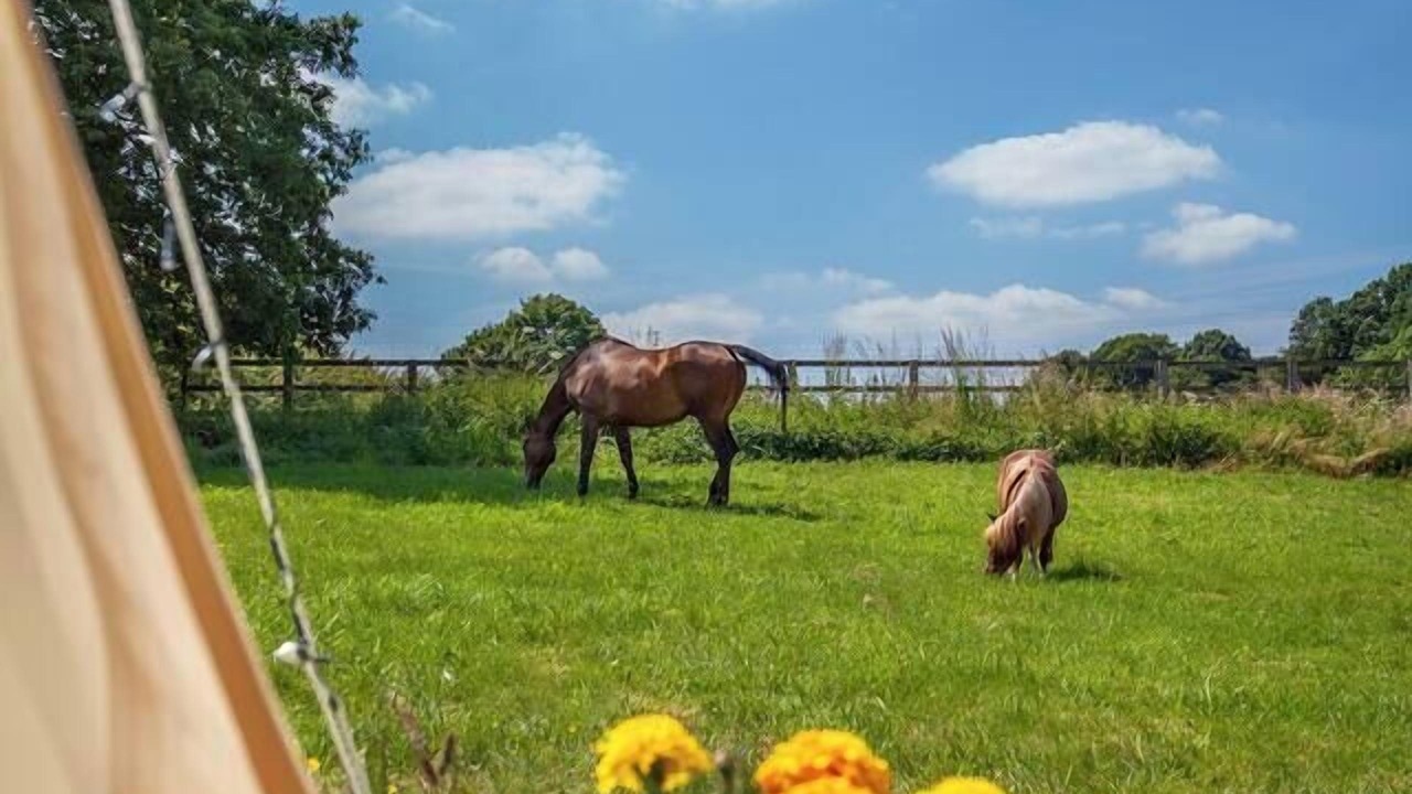 Photo of Others in Loughborough