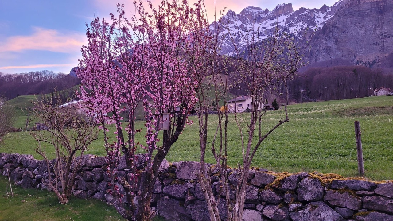 Photo of Outdoor in Schwanden