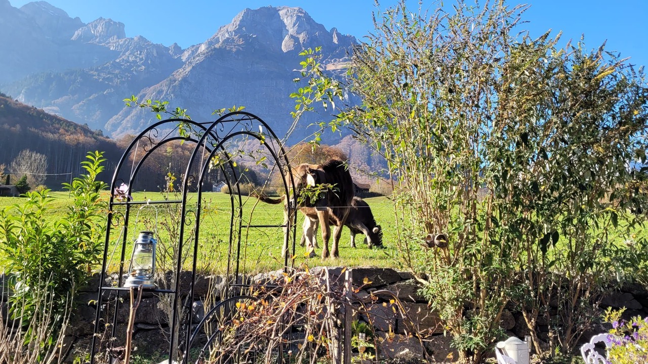 Photo of Others in Schwanden