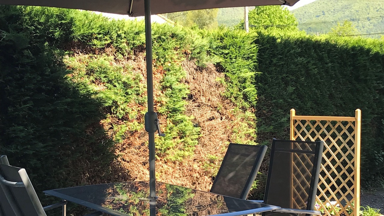 Photo of Outdoor in Salechan