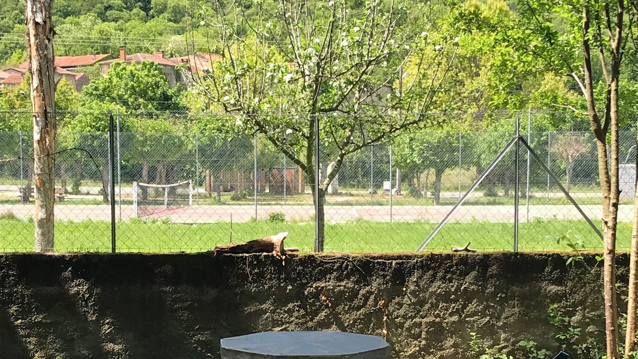 Photo of Outdoor in Salechan