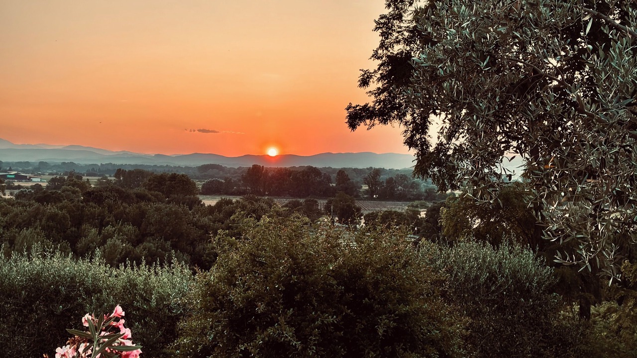 Photo of Outdoor in Massanes