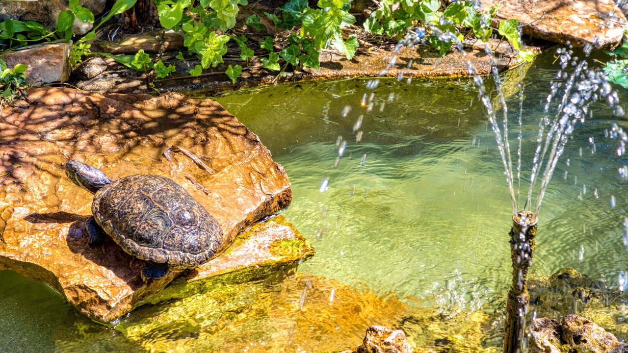 Photo of Others in Clermont-l'Herault