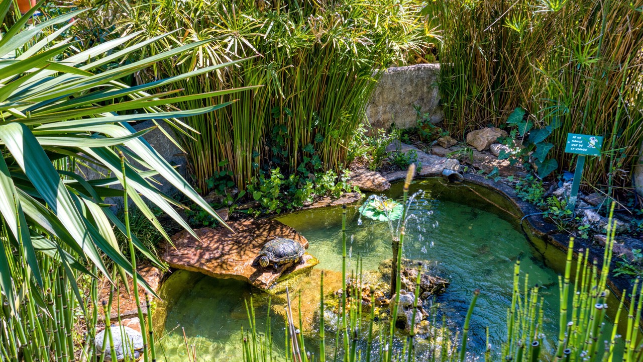 Photo of Outdoor in Clermont-l'Herault