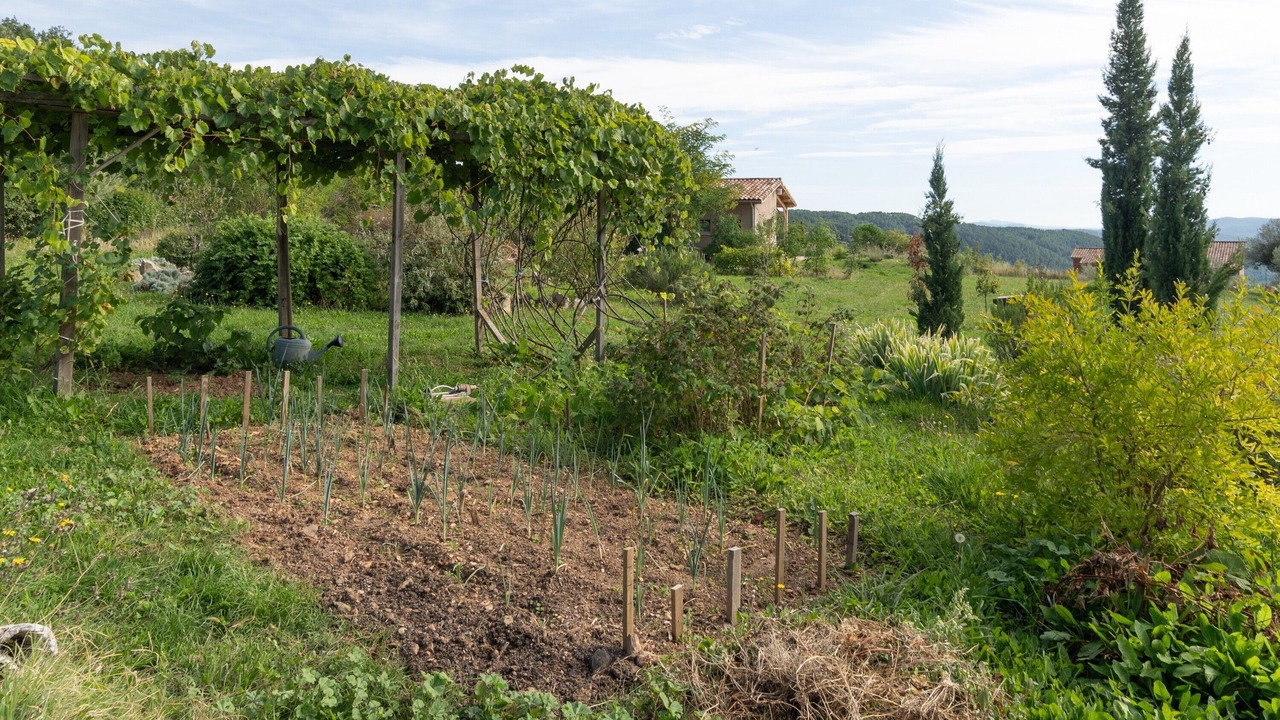 Photo of Outdoor in Payzac