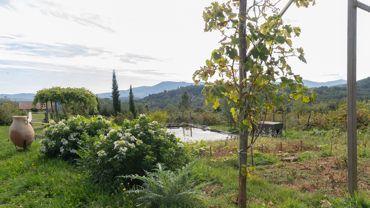 Photo of Outdoor in Payzac