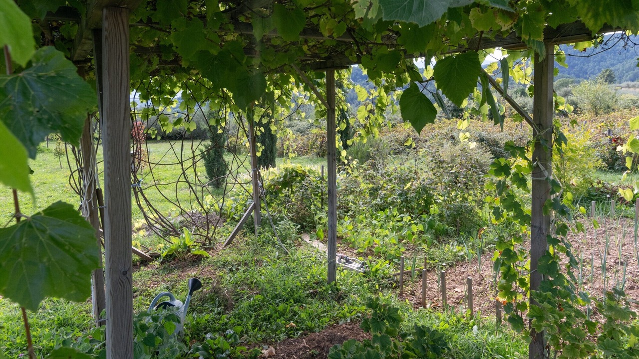 Photo of Outdoor in Payzac