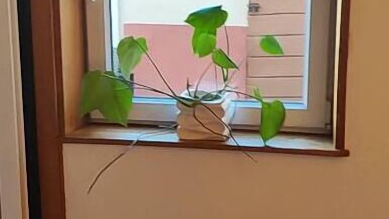 Photo of Others in Grand-Fort-Philippe