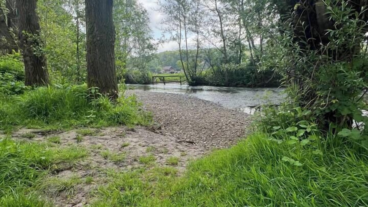 Photo of Outdoor in Recques-sur-Hem