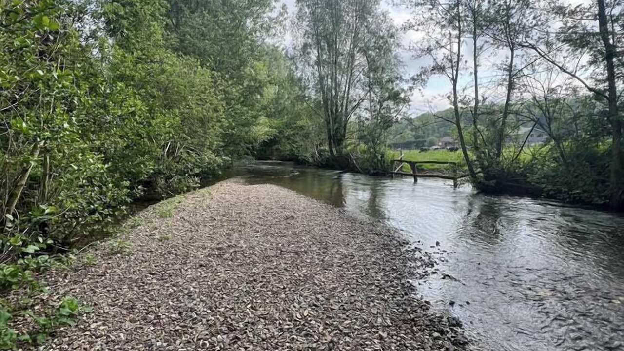 Photo of Others in Recques-sur-Hem