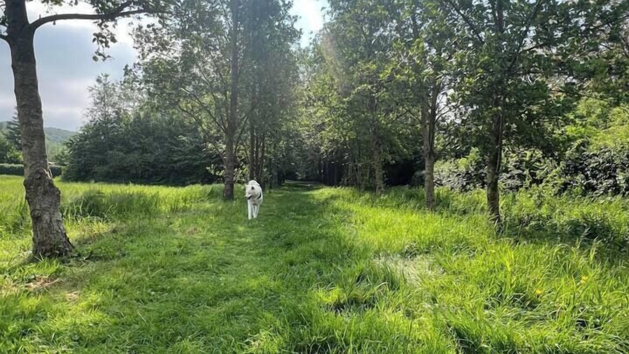 Photo of Others in Recques-sur-Hem