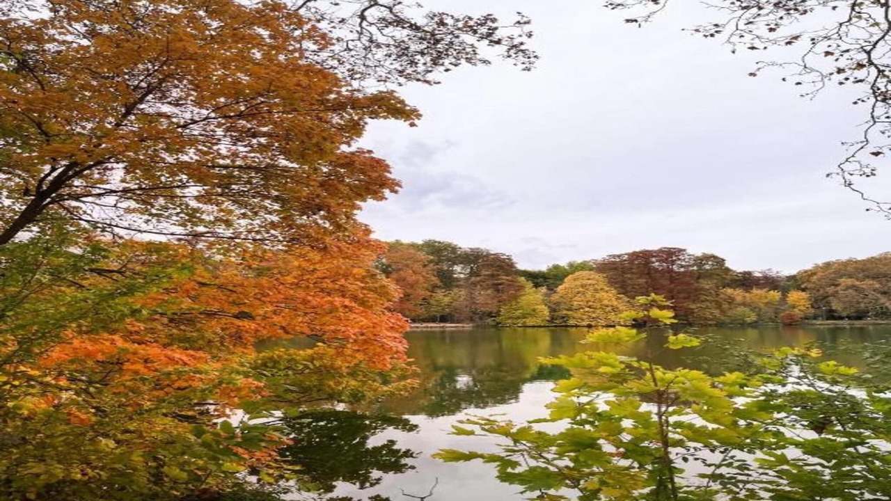 Photo of Others in Charpennes - Charmettes