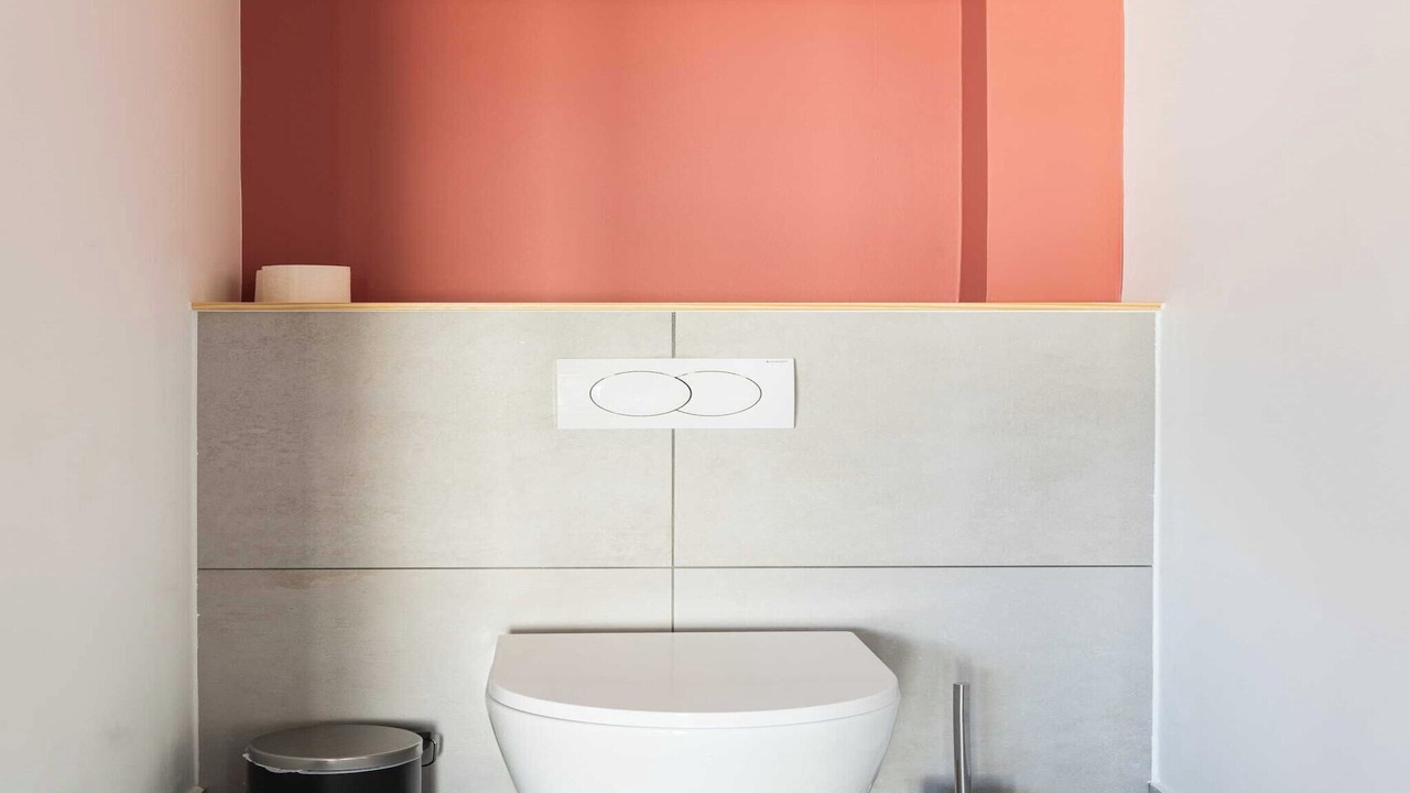 Photo of Bathroom in Leon Blum - Bon Coin