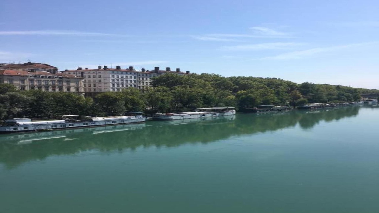 Photo of Others in Republique - Tolstoi