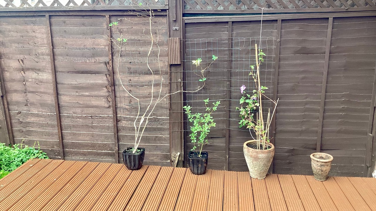 Photo of Outdoor in Crank