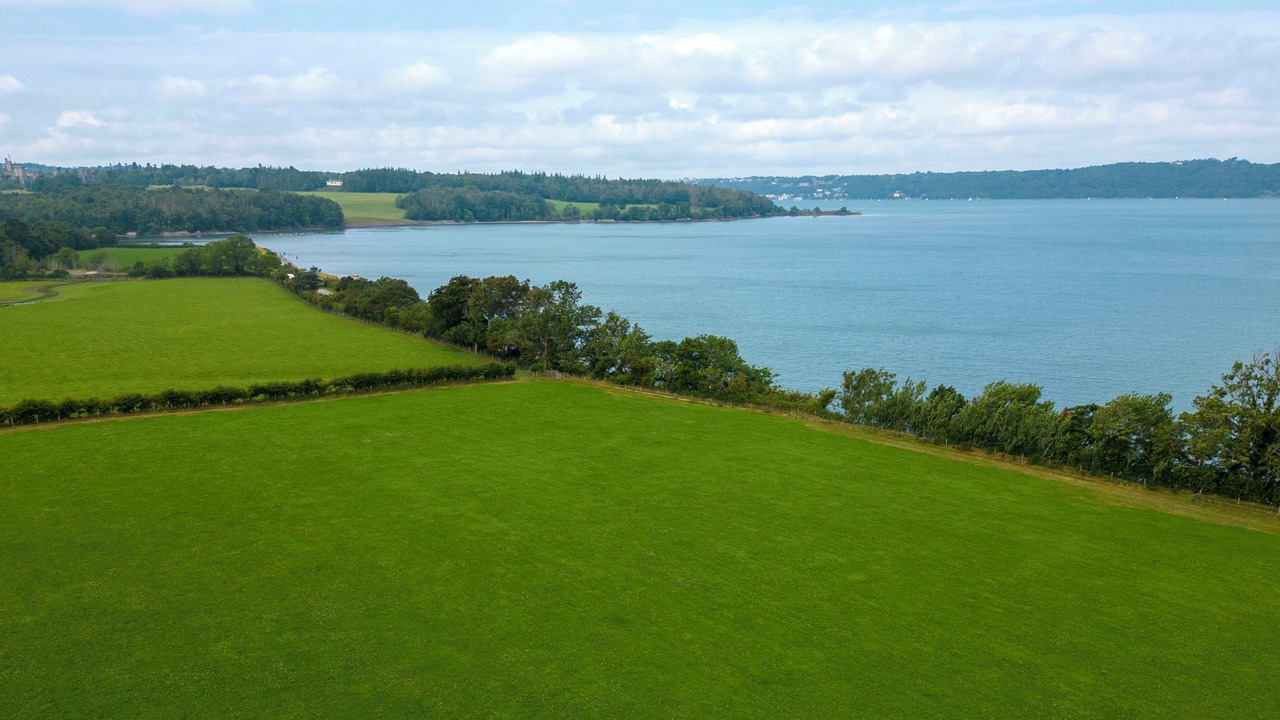 Photo of Others in Bangor