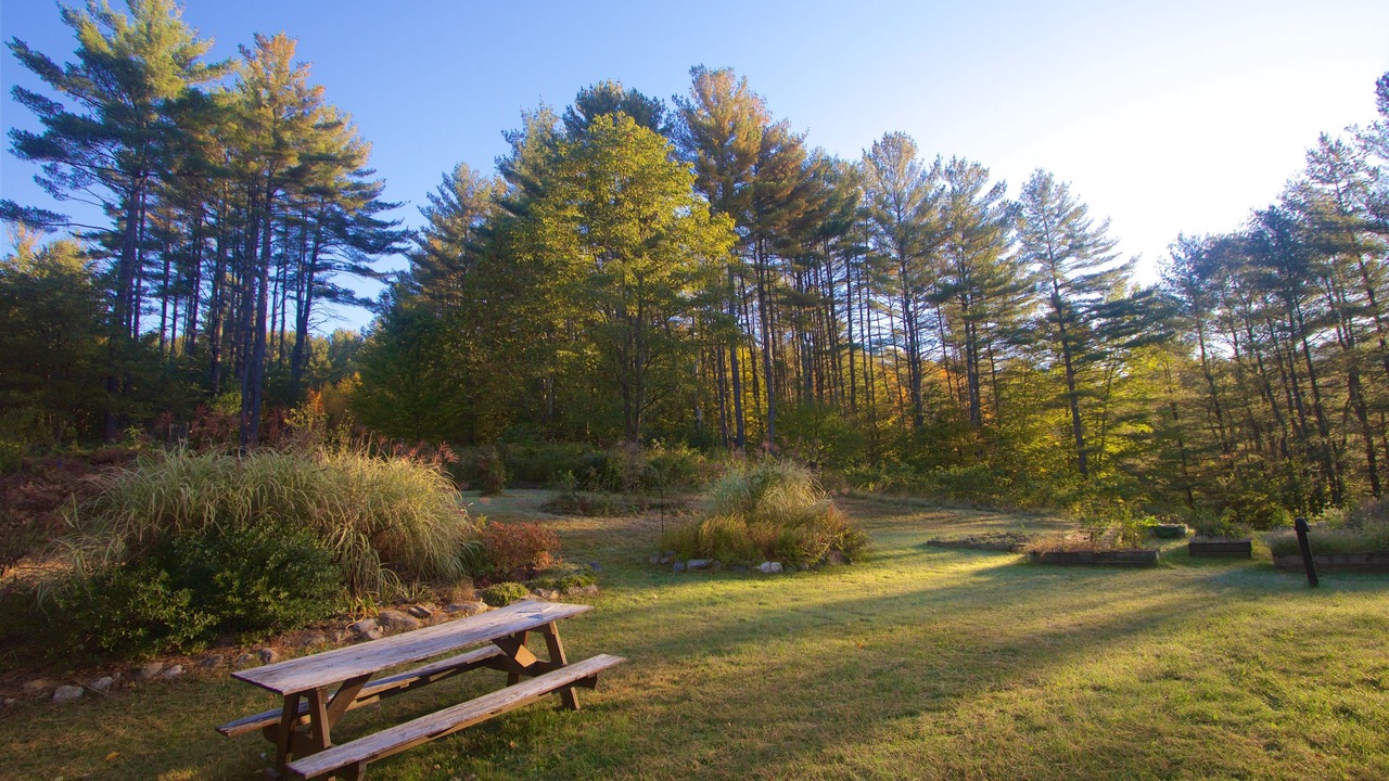 Photo of Outdoor in Brookline