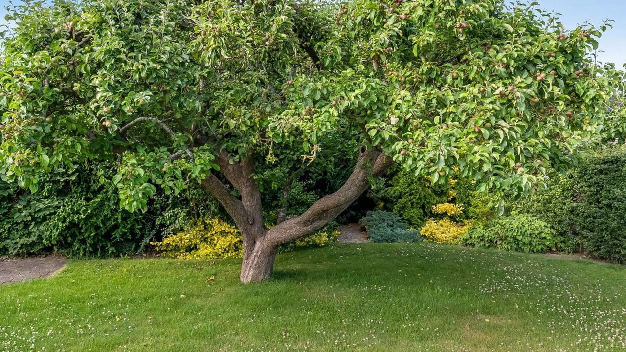 Photo of Others in Ajstrup
