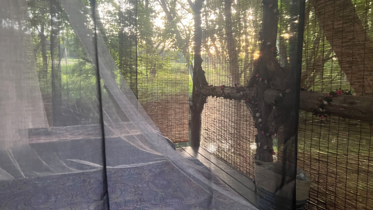 Photo of Bedroom in Greeneville