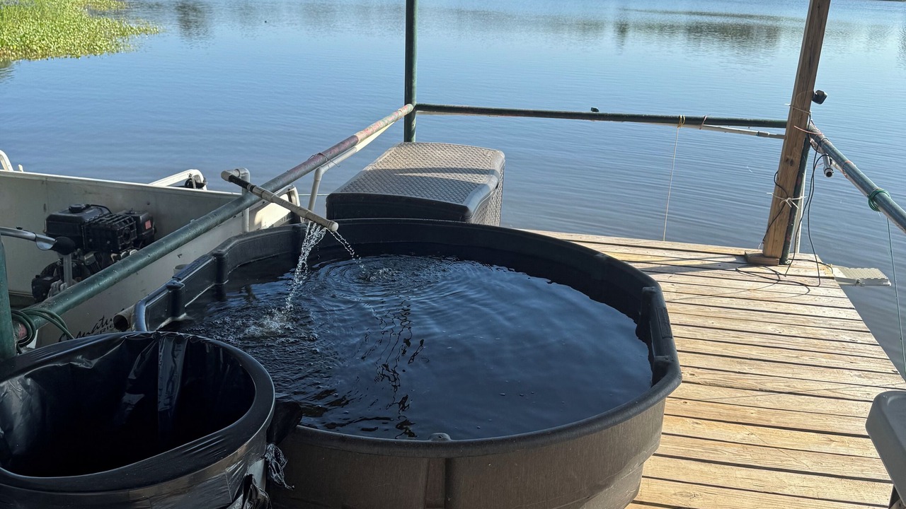 Photo of Outdoor in Lindale