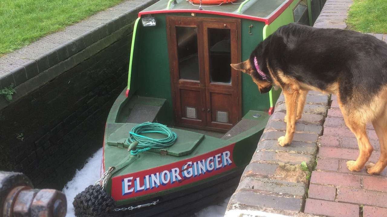 Photo of Others in Stone