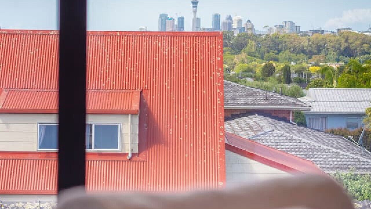 Photo of Others in Mount Albert