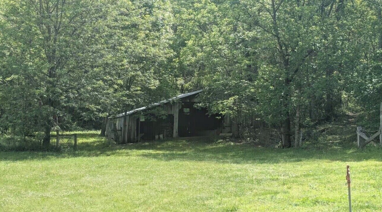 Photo of Outdoor in Nelson