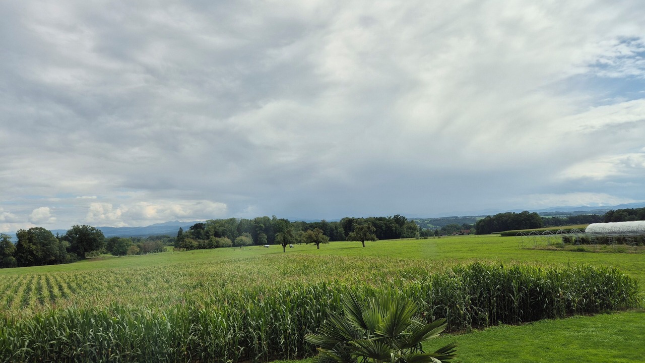 Photo of Others in Langrickenbach