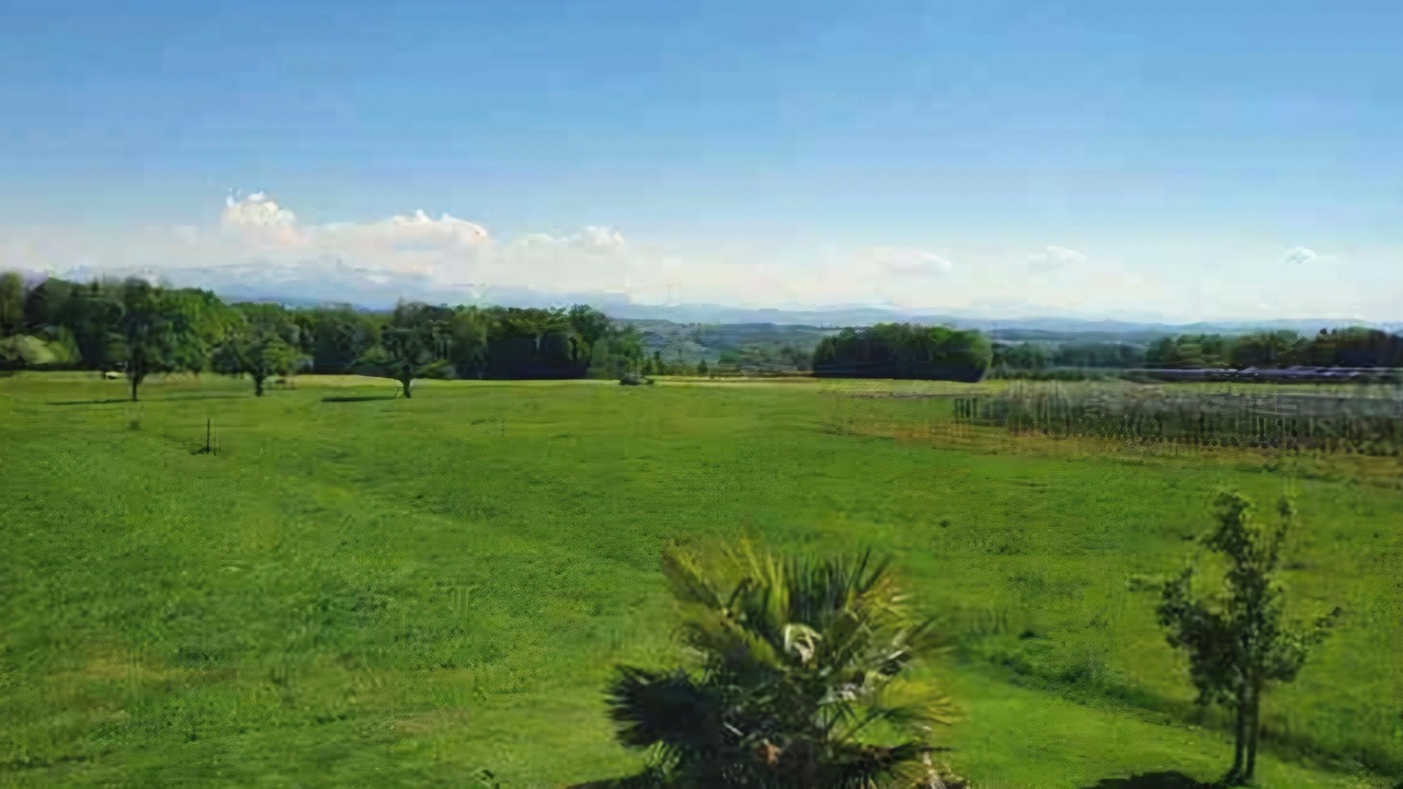 Photo of Others in Langrickenbach