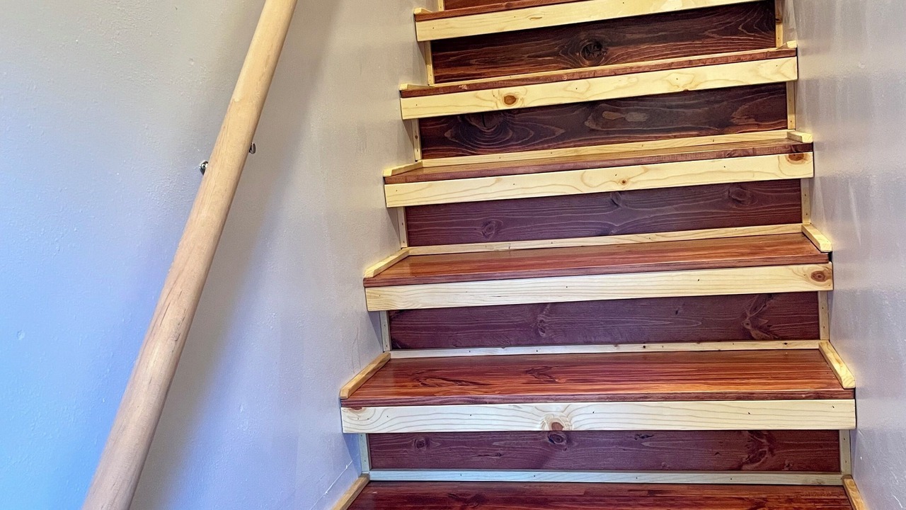 Photo of Others in Woods Creek