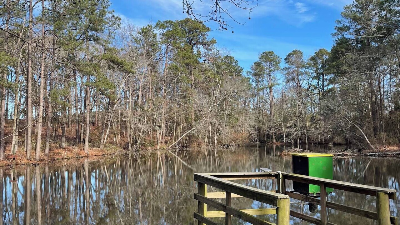 Photo of Outdoor in Batesburg