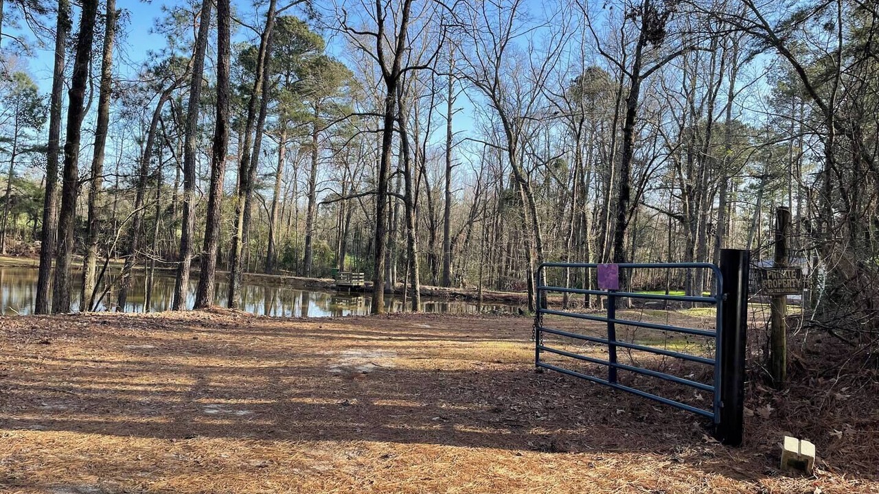 Photo of Others in Batesburg